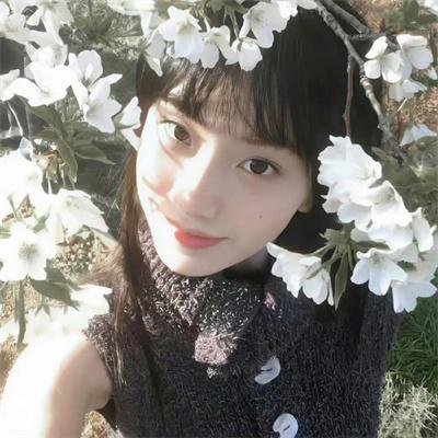 耐撕侦探